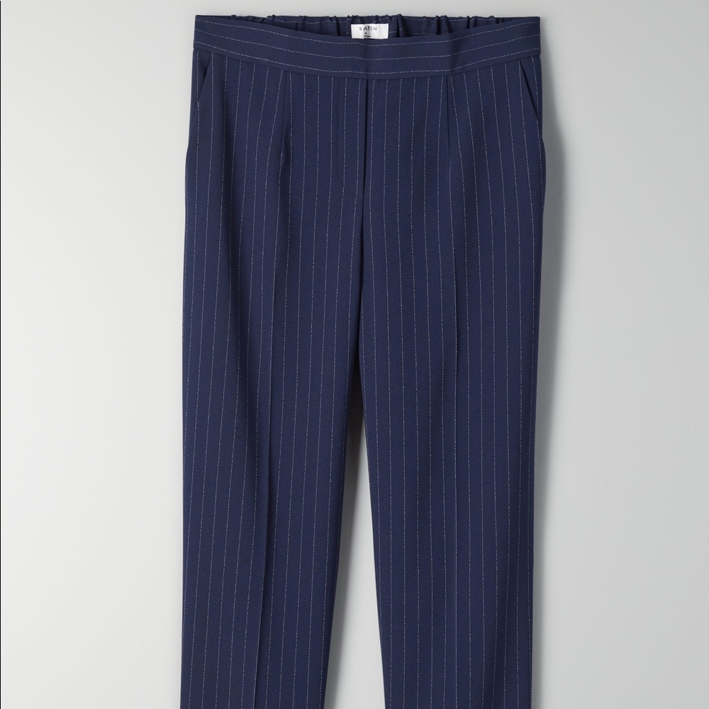 Aritzia Babaton Conan Pant
